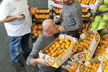 שוק במידות גדולות. צילום: דניאל לילה