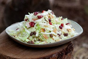 סלט כרוב עם צימוקים ורוטב לימוני. צילום: דניאל לילה | סגנון: עמית פרבר