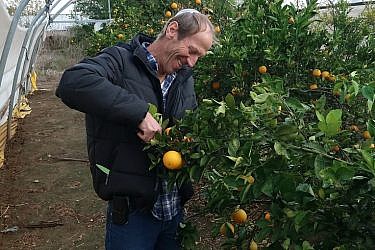 צילום: אילן גור. צילום: אילן גור