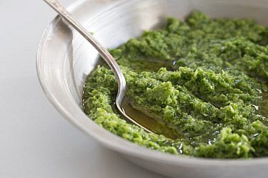 פסטו שום ירוק צעיר. צילום: דניאל לילה