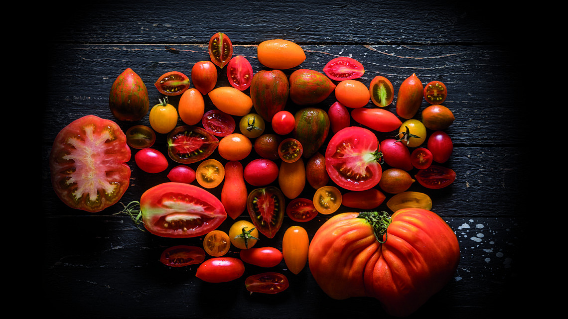 זנים של עגבניות. צילום: אנטולי מיכאלו