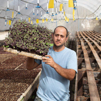 החקלאי ניסים בר ששת במושב מטע. צילום: חיים יוסף