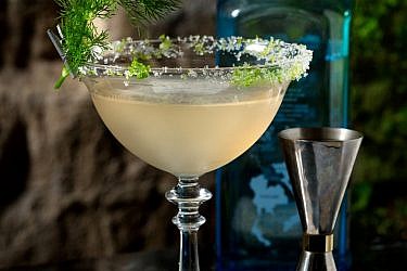 דאבל סטנדרט. צילום: דרור עינב