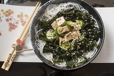 סלט יפני עם אטריות אורז, טופו, מלפפונים ואצות ווקאמה של גליה דור. צילום: רמי זרנגר