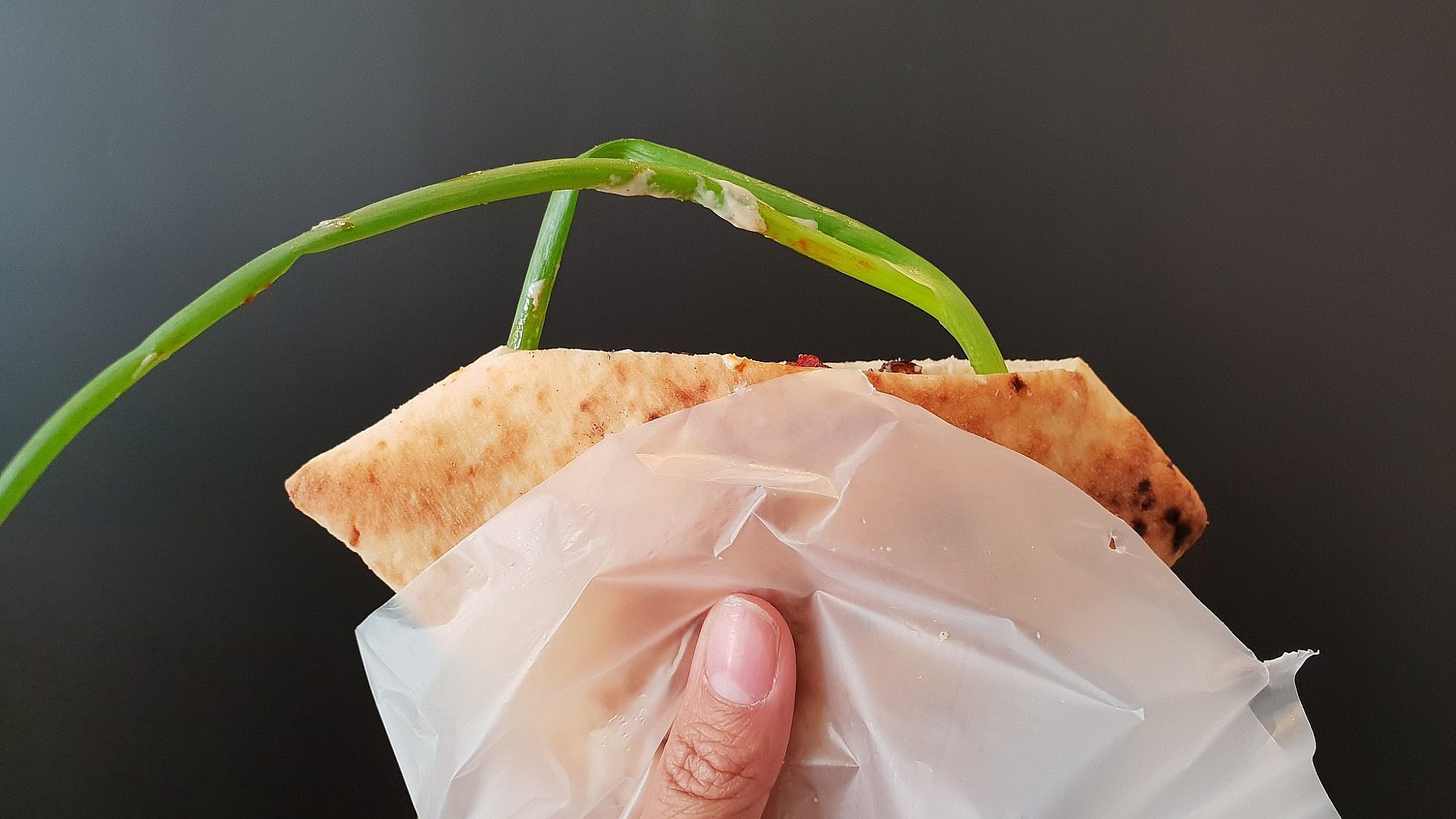 מסעדת פיתגורס. צילום: לימור בוקרי מסעדת פיתגורס. צילום: לימור בוקרי