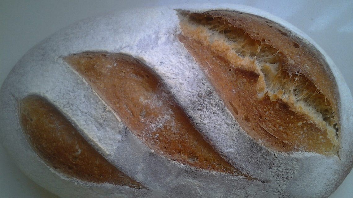 מתכון ראשון ללחם מחמצת של ברי יוגב. צילום: ברי יוגב