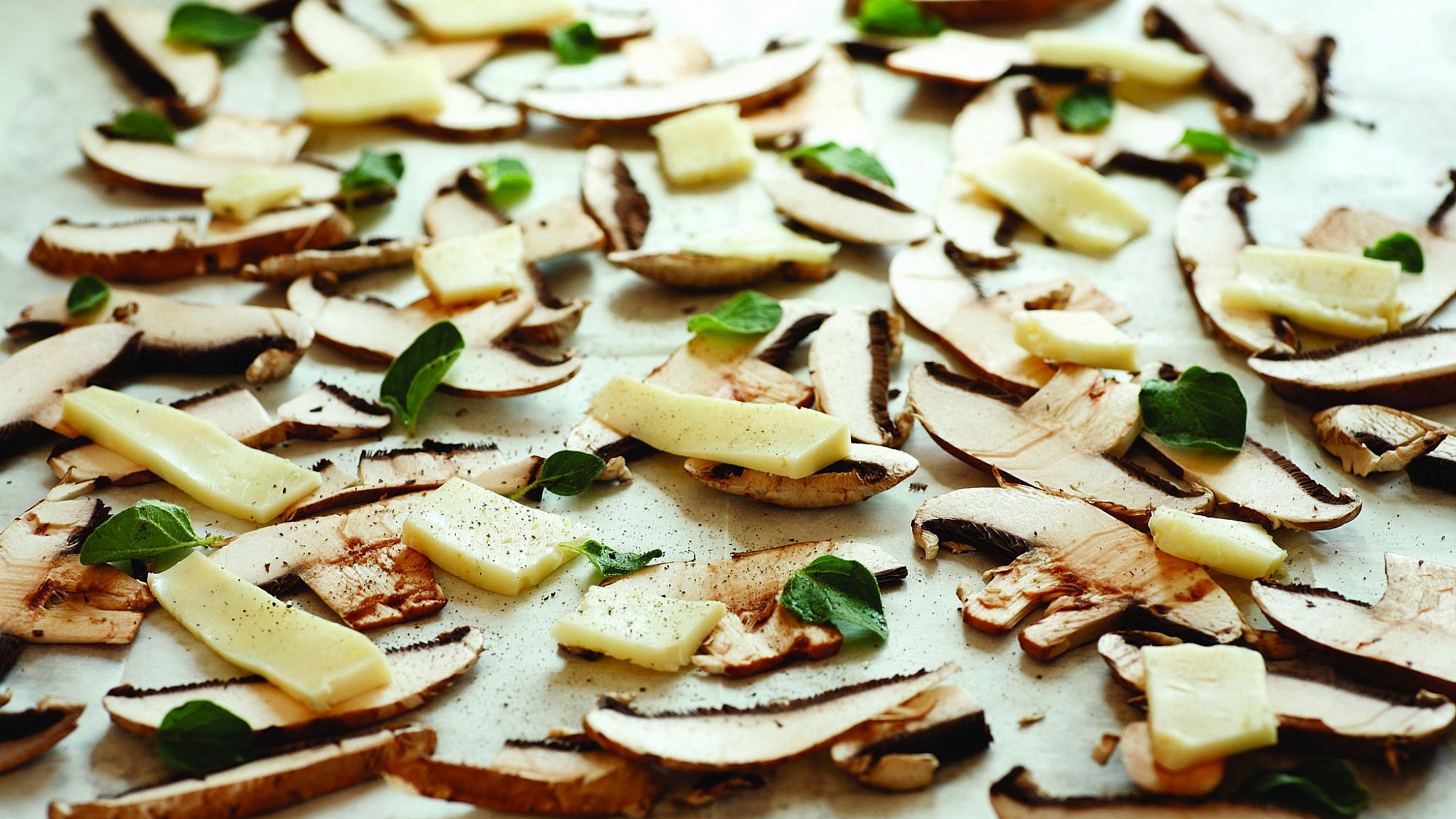 פטריות צלויות עם גבינה ואורגנו. מתכון וסגנון: אוריה גבע | צילום: דניה ויינר