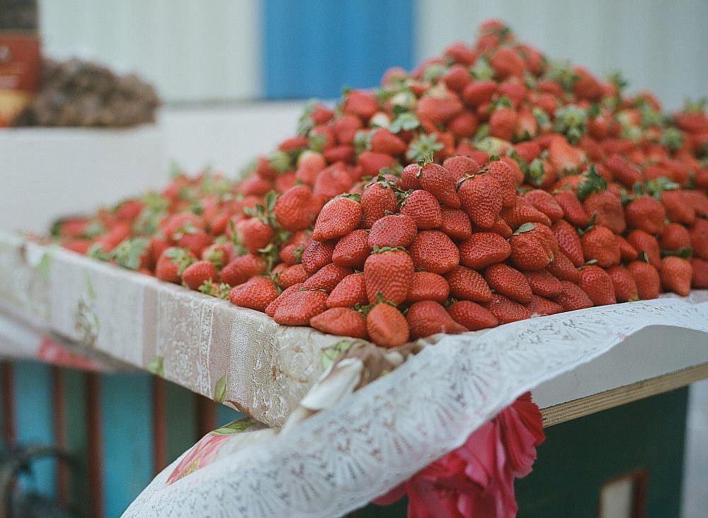 תיירותית ותוססת דוכן תותים ביריחו. צילום: אלה ברק
