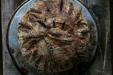 לחם פריקה של שף ארז קומרובסקי. צילום: מתן שופן