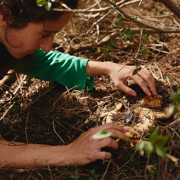 מיא גינזבורג מגלה פטרייה ביער באזור משגב (צילום: מתן כץ)