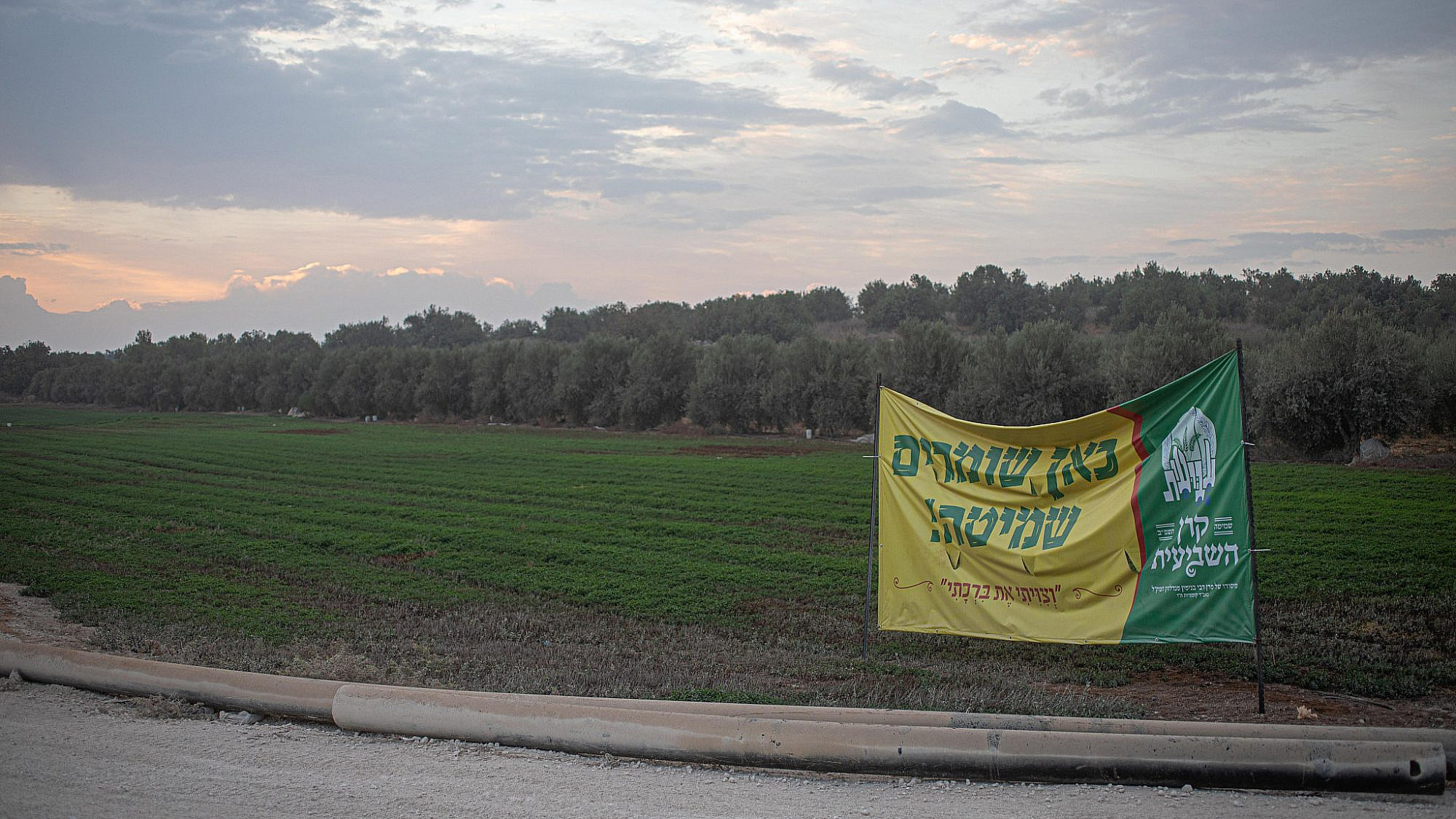 שדה שמוט באזור נחשון | צילום: חיים יוסף