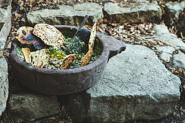 מחלוטה ירוקה של שף ארז קומורובסקי | צילום: שני בריל
