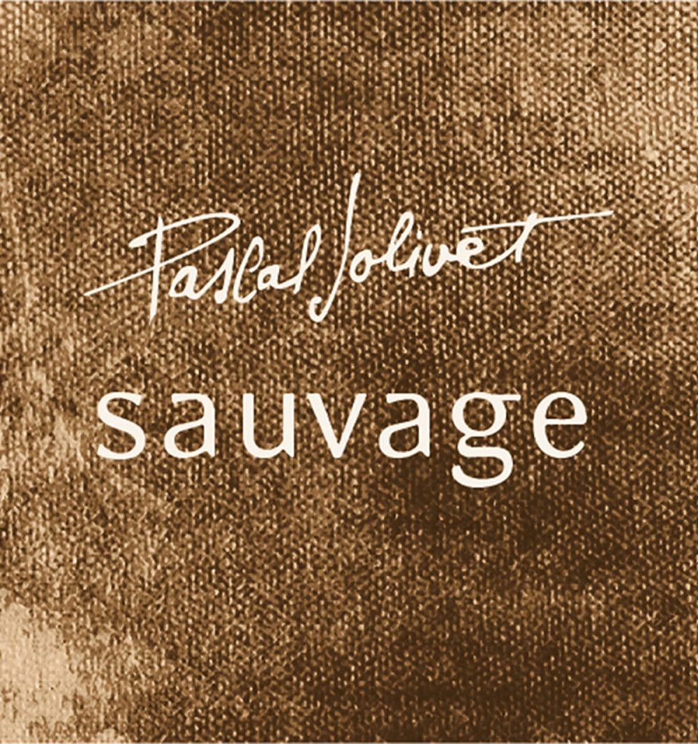 מקסים וקל לשתייה Pascal Jolivet Sancerre Sauvage Blanc (יבוא: אספיריט)