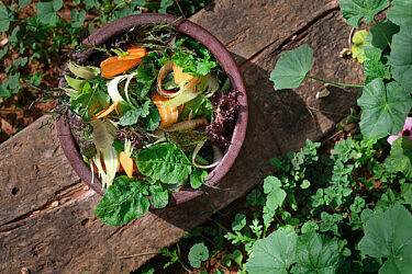 סלט ירקות חורף בווינגרט קלמנטינות וערק של שף ענר בן רפאל-פורמן. צילום: אנטולי מיכאלו