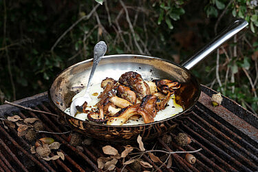 פולנטה סולת ופטריות יער של איתיאלה היאט. צילום: אנטולי מיכאלו