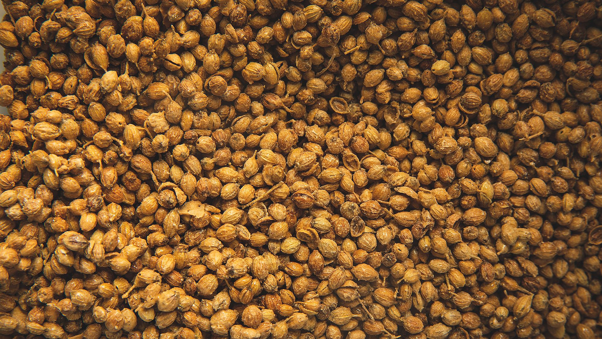 זרעי כוסברה מסוכרים של מאי ישורון. צילום: שני בריל; סטיילינג: עינב רייכנר