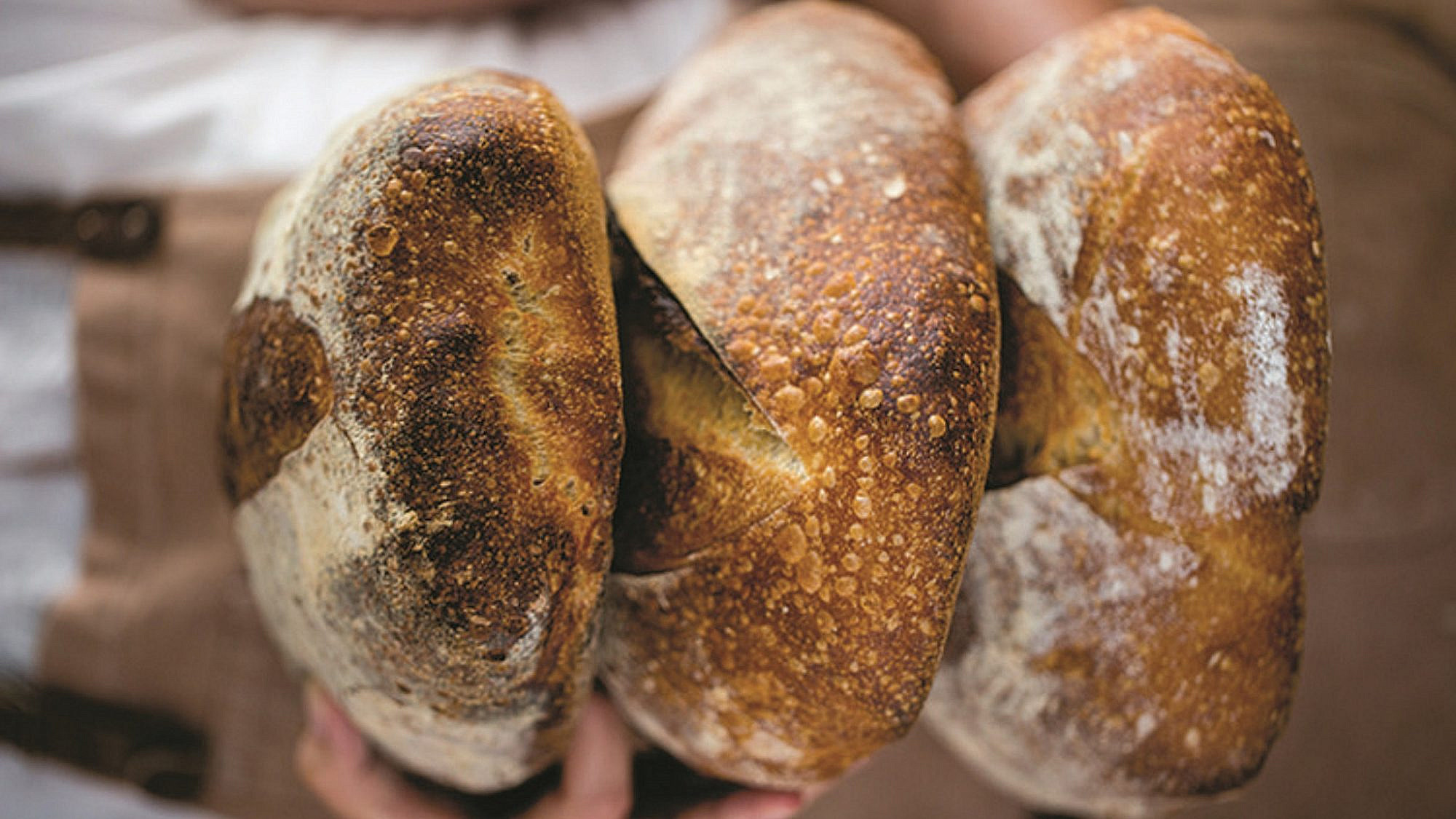 אלחנן תרבות לחם. צילום: תמי סגל